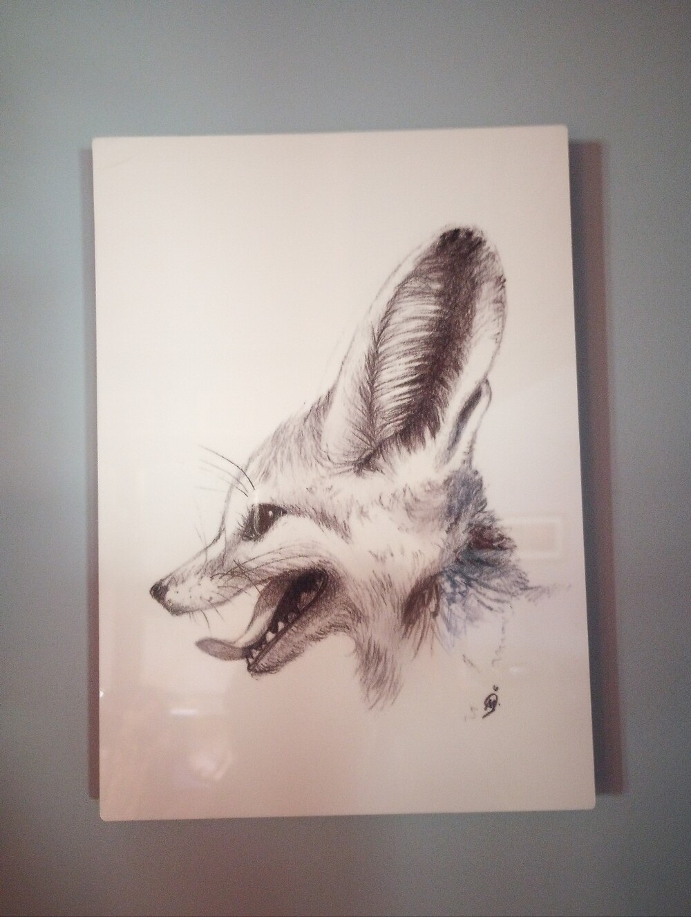 Fennec Fox Metal Art Print